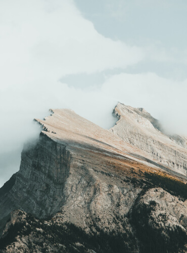 Add an image with your Focus Keyword as alt text.