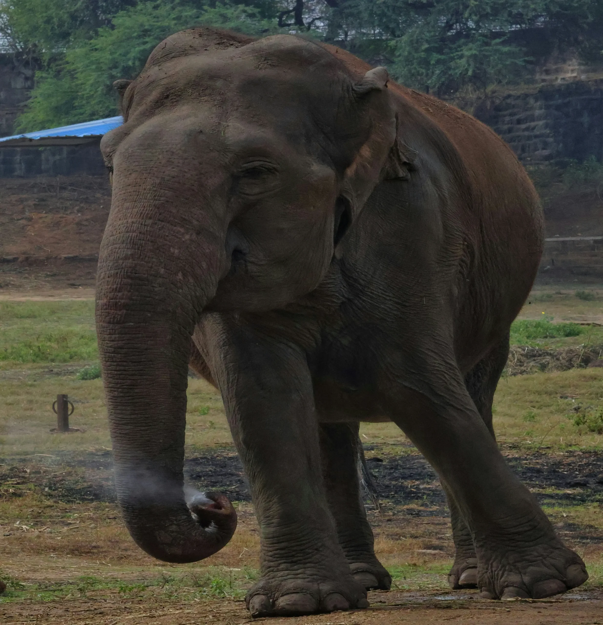 rahul-pabolu-6I8kNmaYCo0-unsplash (3)