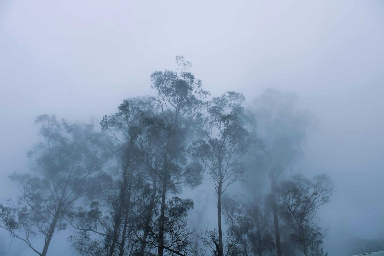 Munnar Tourist Places