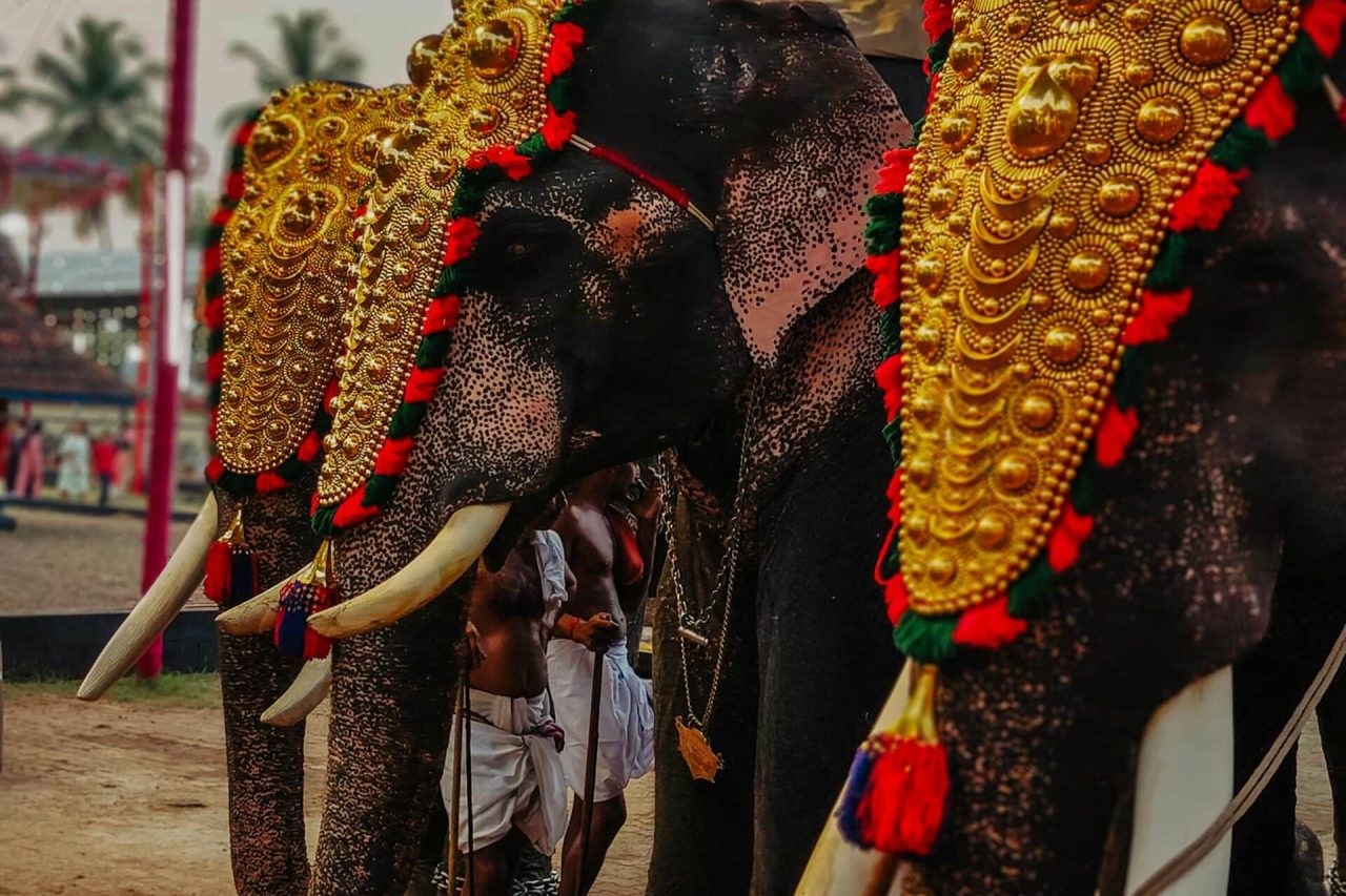 kerala tourist places